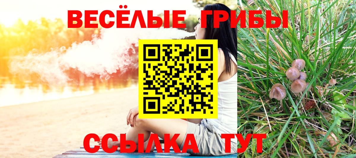 Псилоцибиновые грибы ЛСД  Вход с VPN  Приморско-Ахтарск 