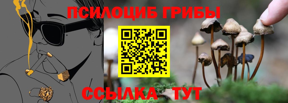 Галлюциногенные грибы мухоморы Приморско-Ахтарск